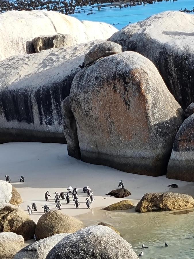 Boulders Beach House Simonʼs Town Exterior foto